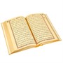 Коран на арабском языке золотой обрез (24х17 см) 19705