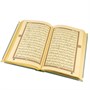 Коран на арабском языке золотой обрез (20х14 см) 17553